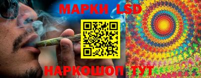 мяу мяу мука Краснознаменск