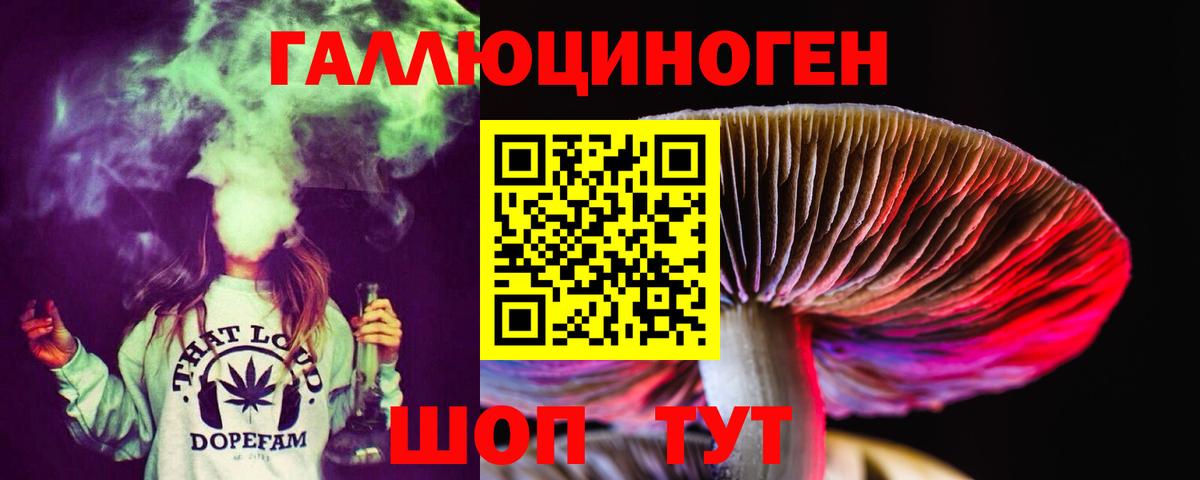 Псилоцибиновые грибы Psilocybe Донецк